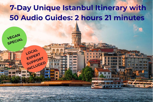 vegan-friendly-7-day-itinerary-istanbul-tour-with-local-support